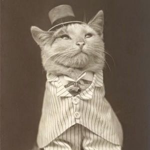 Meet your Posher, Allison